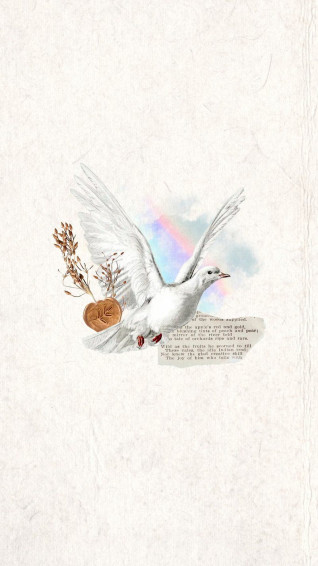 White Dove Wallpaper