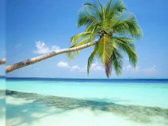 Beach Scene Background For