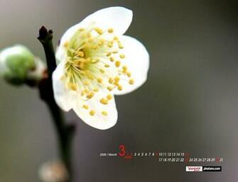 Flowers Wallpaper March Desktop Calendar