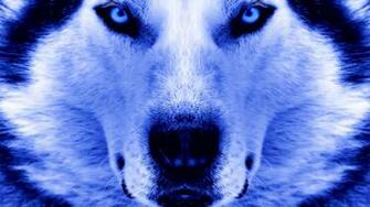 Husky Computer Wallpaper Desktop Background Id
