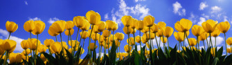Windows Xp Ultrawide Wallpaper X R Widescreenwallpaper