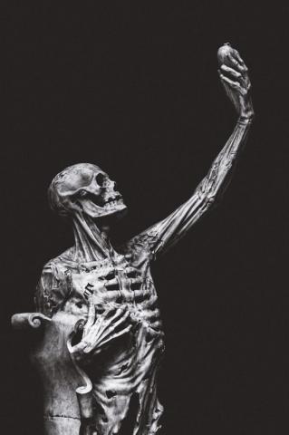 Sculpture Painting Art Best