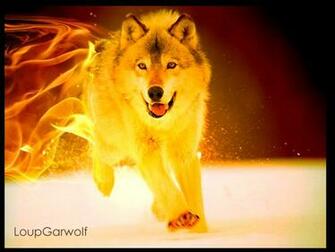 Fire Wolf V2 By Loupgarwolf