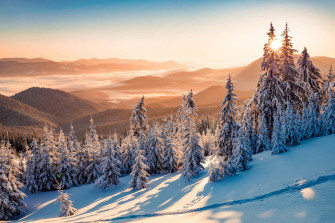 Winter Solstice Wallpaper