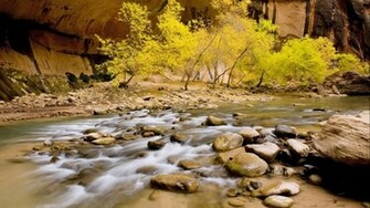 Full HD Wallpaper 1080p Nature