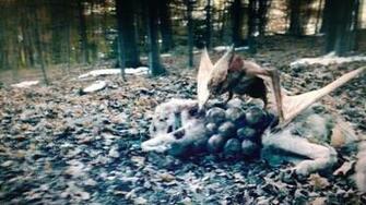 The Vesp Nest From Silence Netflix By Legendarysaiyangod20 On