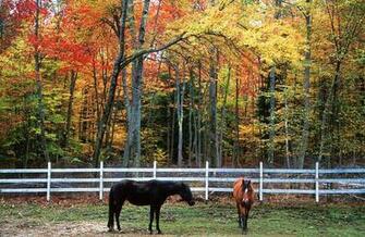 Mike Levin S Photo Gallery New England