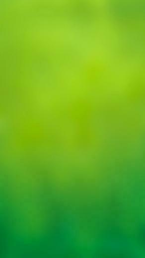 Green Lime Blue iPhone Wallpaper