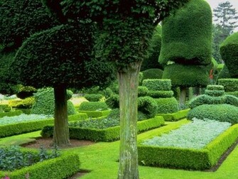 Nature