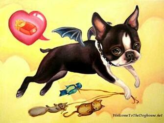 Boston Terrier Wallpaper
