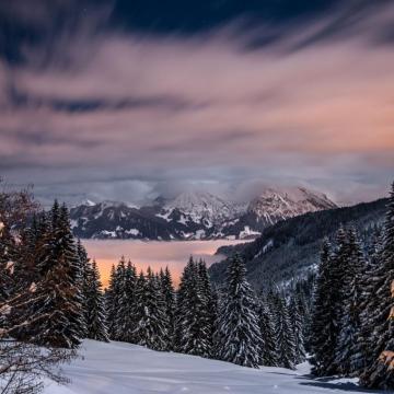 Wallpaper Winter Mountains Snow Trees
