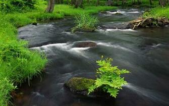 River Across Wallpaper HD
