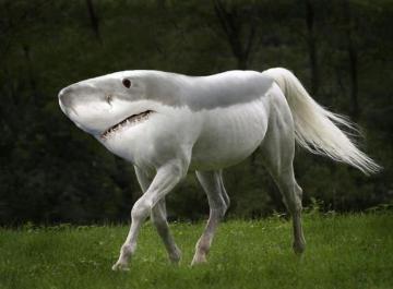 Weirdest Wallpaper Posted By Ryan Johnson