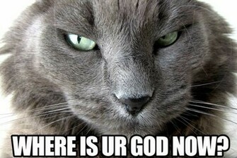 Lolcats Wide Wallpaper