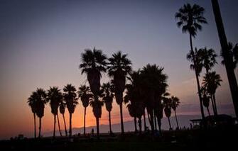 Wallpaper Summer California Sunset Usa Los Angeles Palm