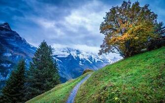 Nature 4k UHD Wallpaper Ultra High Definition