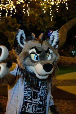 Emily Addis1 On Fursuit Furry Yiff