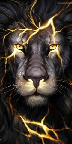 Lion Wallpaper Enjpg