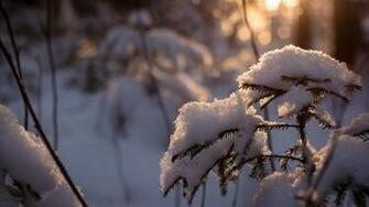 Winter HD 1080p Wallpaper Archives Source