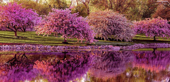 Spring 4k Wallpaper Amazon Appstore For Android