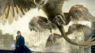 Fantastic Beasts And Where To Find Them Wallpaper