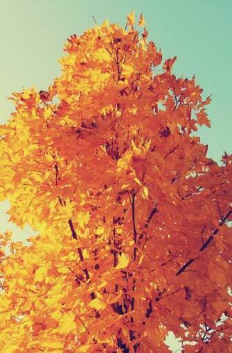 Wonderful iPhone 6s Plus Wallpaper Ultralinx