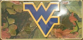 Flying Wv Logo