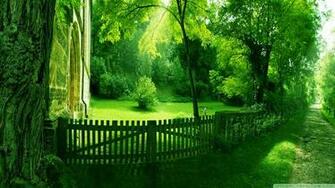 Summer Scene Wallpaper