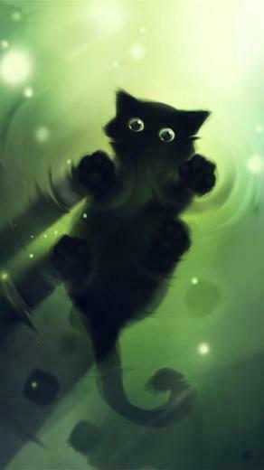 Cat Galaxy Note Wallpaper HD