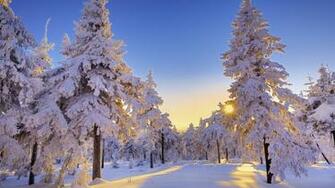 Beautiful Winter Wallpaper Design Reviver Web
