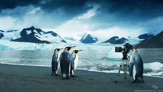 Pittsburgh Penguins HD Desktop Wallpaper Widescreen High