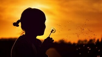 Location Home Nature Flowers Blowing Dandelion Wallpaper