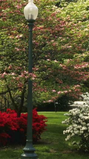 Central Park New York City Spring Wallpaper