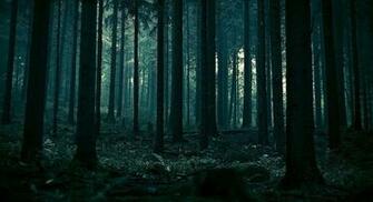 HD Quality Ambient Image Wallpaper Base