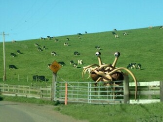 Church Of The Flying Spaghetti Monster Prawda2