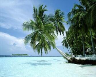 Paradise Wallpaper Art Print Poster Tropical