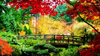 Cute Fall Wallpaper