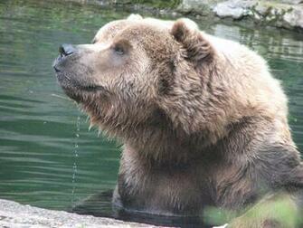 Funny Animals At The Zoo Wide Wallpaper