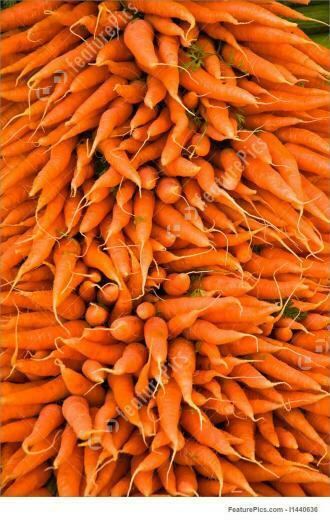 Food Carrots Jumble Vegetable Background Stock Photo I1440636