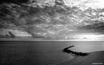 Pics Photos Landscape Black And White Nature Wallpaper