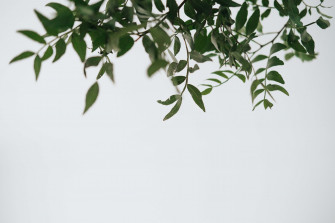 Simple Minimalist Wallpaper