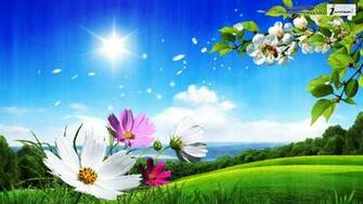 Summer Flowers Wallpaper Hot Beach