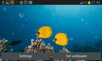 Coral Reef Live Wallpaper Android Apps On Google Play