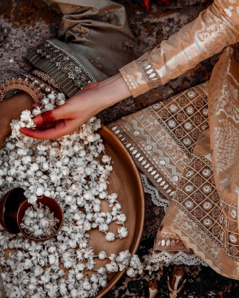 Ashwati Kartha On Indian Royalty Aesthetic Wallpaper
