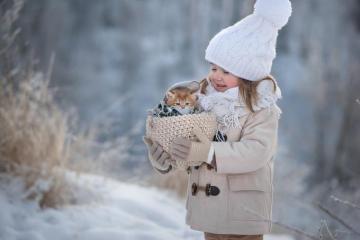 Baby Animal Basket Cat Child Depth Of Field Girl Hat Kitten Little
