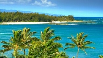 Tropical Beach Australia