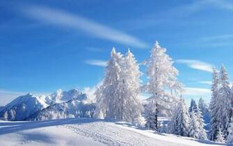 Snow Jpg
