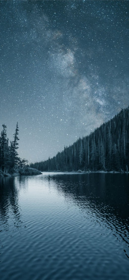 Night Out Lake Forest Nature iPhone Wallpaper