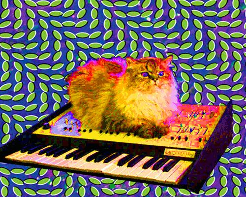 Psychedelic Cats