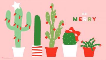 December Christmas Cactus Calendar Wallpaper Sarah Hearts